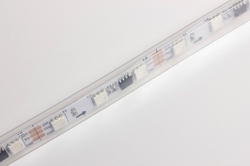LED pásek digitální WS2811, 12V, 60led/m, 1 metr, IP67